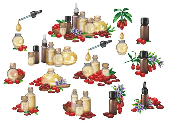 Collezioni di bottiglie di olio essenziale acquerello decorate con bacche di goji, fiori e foglie — Foto Stock