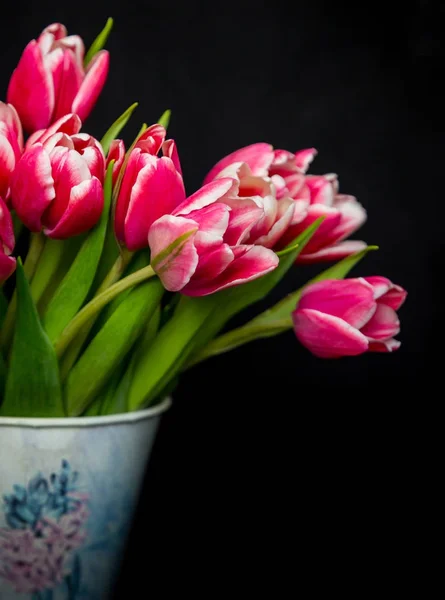 Bir kova içinde Pembe Laleler. 