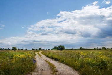 Alanları ve güzel bulutlar karayoluyla çimen.