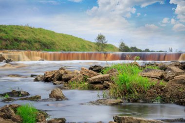 Yaz aylarında küçük doğal su kuşları