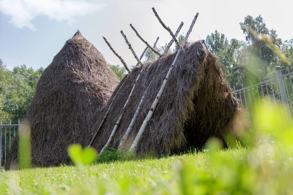 Rusya kulübede Shalash Lenina v Rossiilenin'ın