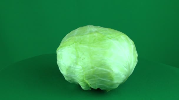 Cabbage Rotating in Green Screen Chroma Key Matte — Stock Video