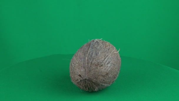 Coconut Rotating in Green Screen Chroma Key Matte — Stock Video