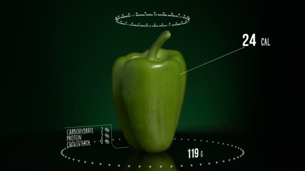 Infografis Bell Pepper Green — Stok Video