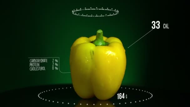 Infografik von Paprika gelb — Stockvideo