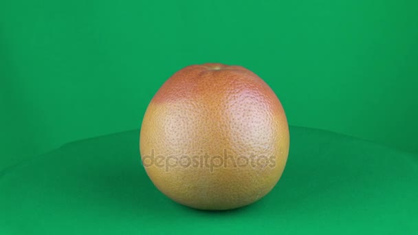Grapefruit in groen scherm draaien — Stockvideo