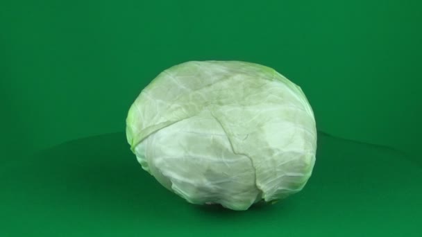 Cabbage Rotating in Green Screen — Stock Video