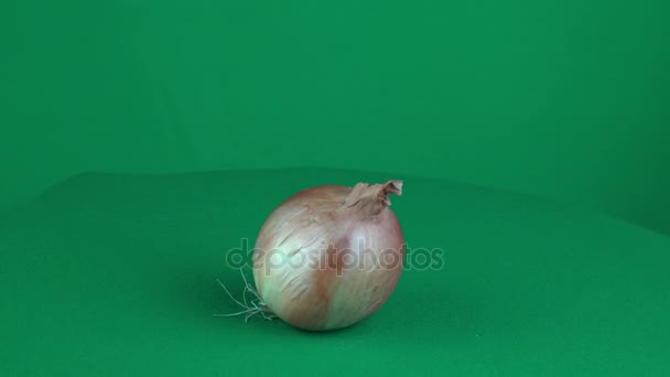 Cebolla girando en pantalla verde — Vídeo de stock