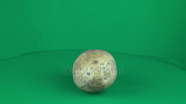 Potato Rotating in Green Screen Chroma Key Matte — Stock Video