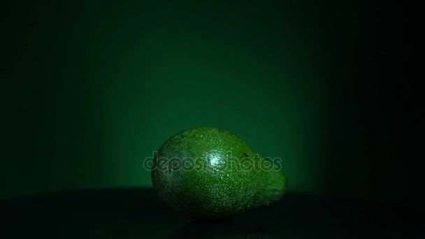 Avocado wird zum Schlupfloch — Stockvideo