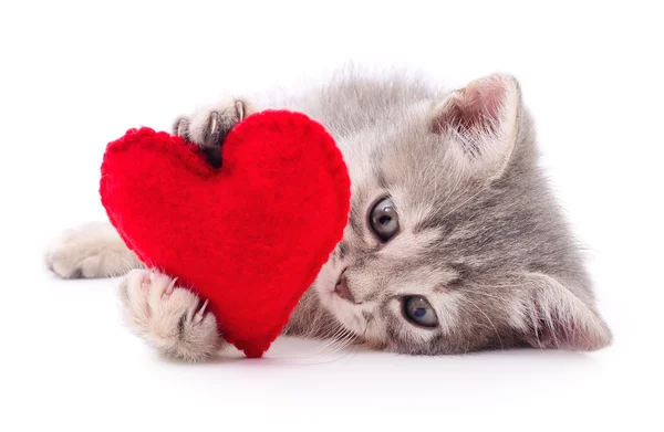 Gatito con corazón rojo . — Foto de Stock