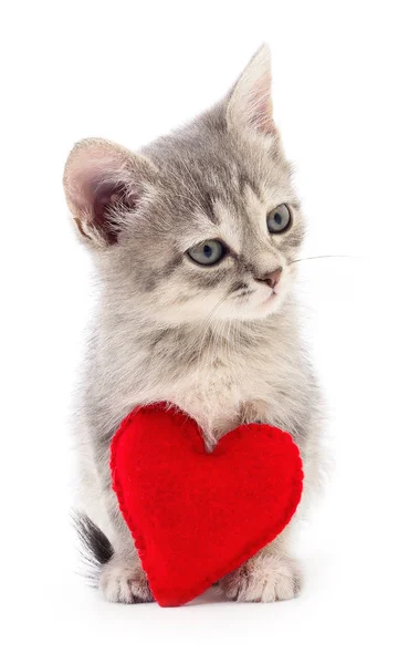 Kotě s červeným srdcem. — Stock fotografie