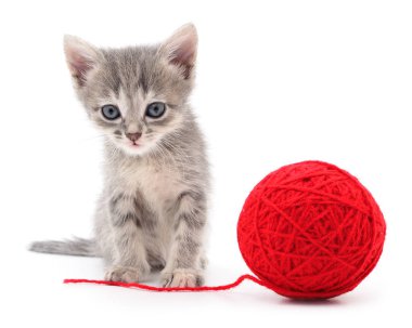 yavru kedi yumağı ile.