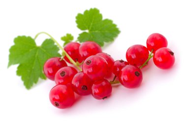 izole kırmızı kuş üzümü.