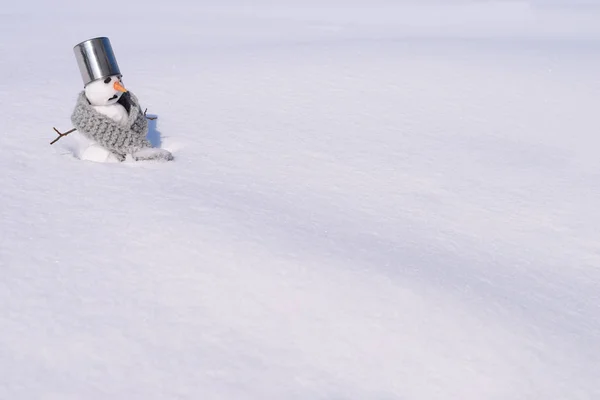 Bonhomme de neige avec nez de carotte — Photo