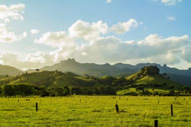 Yaz, yatay, yeşil alan ve tepeler ve mavi gökyüzü, beyaz bulutlar Coromandel Yarımadası, North Island, Yeni Zelanda