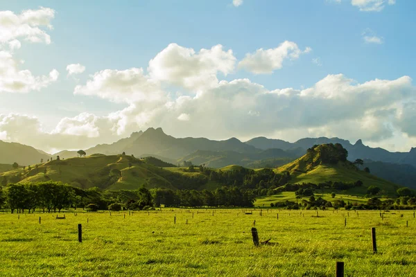 Paesaggio estivo con campo verde e colline e cielo blu, nuvole bianche penisola di Coromandel, Isola del Nord, Nuova Zelanda — Foto Stock