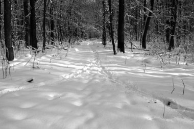 İki yol bir karla birleşir.