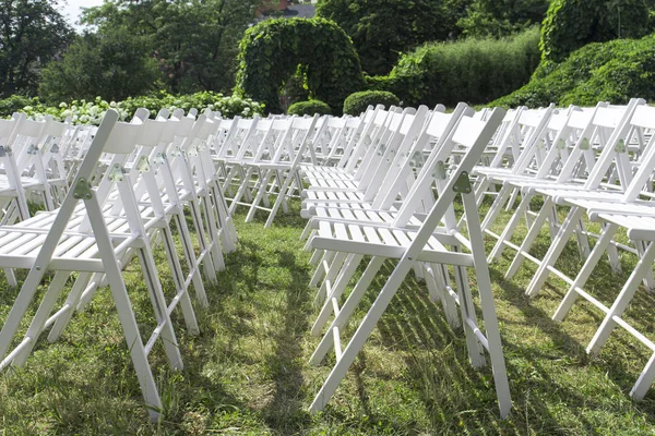 View of empty wooden chairs in white, arranged in rows, against the background of hedges and climbing plants — 스톡 사진