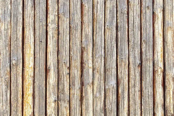 Fondo de troncos de madera vieja de árboles con una superficie tratada —  Fotos de Stock