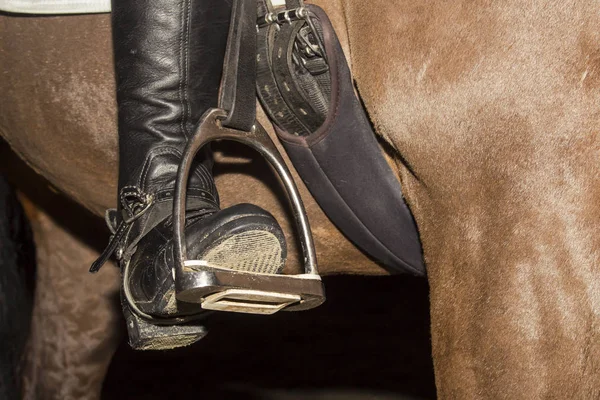 The foot in the stirrup of the rider in the correct position in the dressage saddle — 스톡 사진