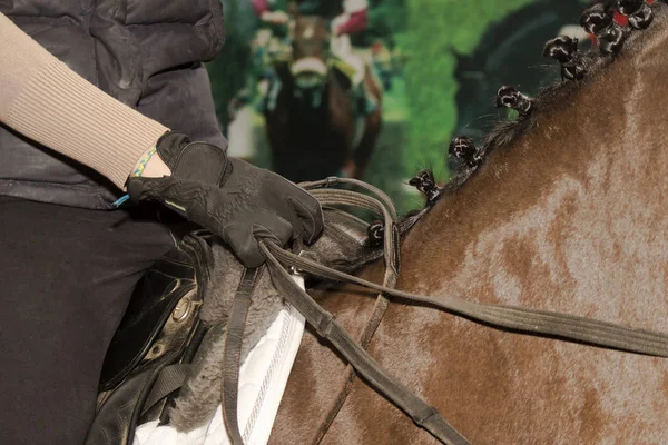 骑手把缰绳握在马背上 — 图库照片