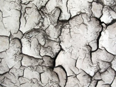 Duvardaki eski, çatlak boya, bir kez beyaz oldu mu siyah ve beyaz bir doku yaratır.