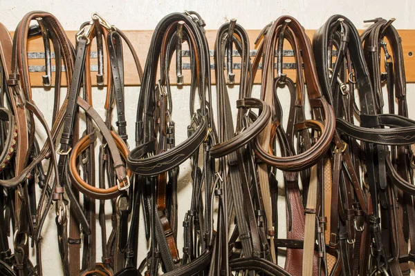 Conjunto de diferentes bridles de couro esportivo com outros produtos especiais — Fotografia de Stock