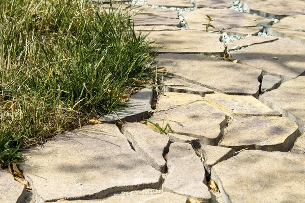 Garden path paved under natural stone and green grass — Stock Photo, Image