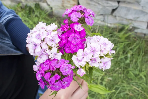 Bir Buket Karanfil Türkçe — Stok fotoğraf