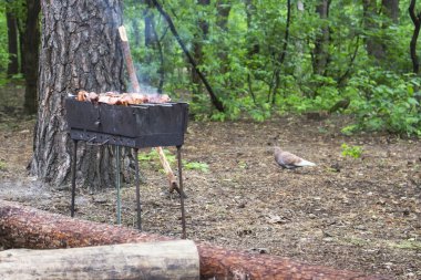 Şişte et hazır, ızgarada ve güvercinde yatıyor, ormanda, tatilde.