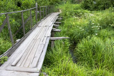 Çimenli bir derenin üzerindeki eski bir ahşap köprü.