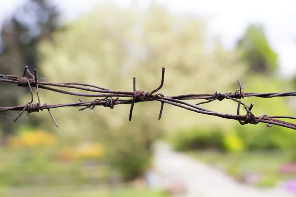 Barbed Wire Protects Nature — Stock Photo, Image