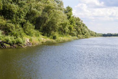 Suyun pürüzsüz yüzeyi ve nehir kıyısı boyunca uzanan sık ağaç ve çalıların manzarası.