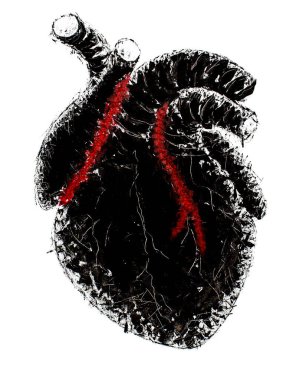 Stylized drawing of a human heart, executed in black and red colors on a white background clipart