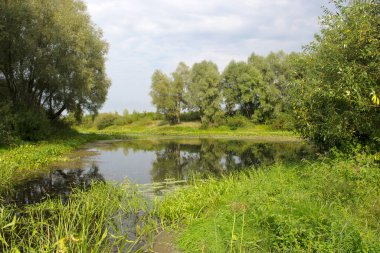 Nehrin pınarında bataklık.