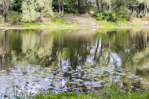 Pohled Jedné Strany Druhou Přes Povrch Jezera — Stock fotografie