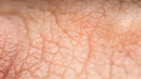 Texture Relief Healthy Human Skin Macro Photography Visible Bumps Furrows — Stock Photo, Image