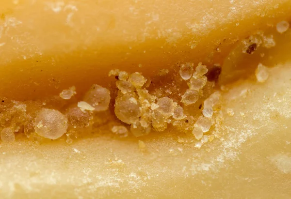 grains of salt in the groove of a half of roasted peanuts at a closer approximation, macro shot