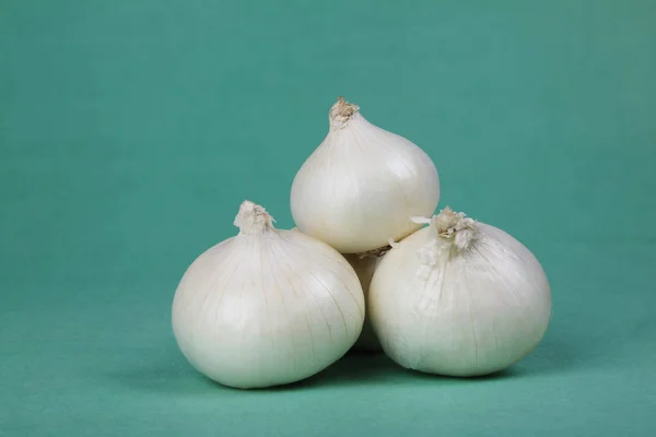 White Onion Nature Ingredient — Stock Photo, Image