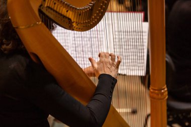 Büyük filarmoni orkestrası konserinde arp çalan orkestra ve filarmoni sanatçısı.