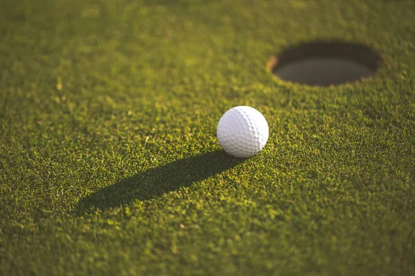 Крупним планом м'яч для гольфу на газоні, поле для гольфу, спортивна концепція — стокове фото