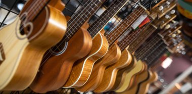 Müzikal, enstrüman atölyesi ve enstrüman konseptinde arka arkaya sıralanmış büyük bir ahşap mandolin arenasını kapat.