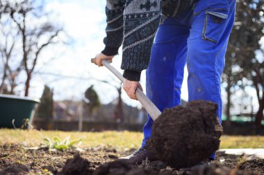 Kış sonrası yeni bitkiler için bahçe kazan kıdemli adam, kürek, bahçe konsepti
