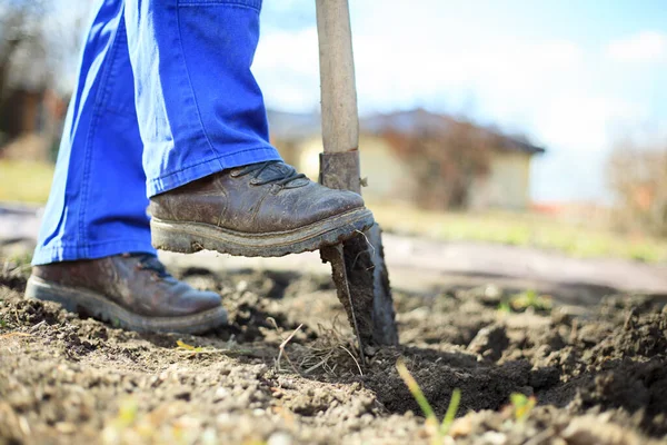 Homem sênior cavando um jardim para novas plantas após o inverno por pá, conceito de jardinagem — Fotografia de Stock