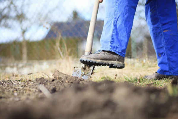 Homem sênior cavando um jardim para novas plantas após o inverno por pá, conceito de jardinagem — Fotografia de Stock