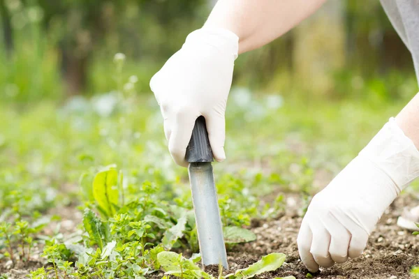 Una mujer mayor sacando algunas malas hierbas con césped negro exuberante en su enorme, gran jardín botánico, concepto de jardinería — Foto de Stock