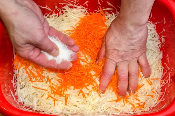 Elleri tuzlu lahana yemek. Lahana turşusu hazırlanıyor.