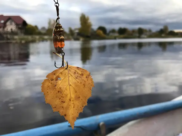 Ein gelbes Herbstblatt hängt an einem Angelhaken. Im Hintergrund ist ein Fluss zu sehen. — Stockfoto