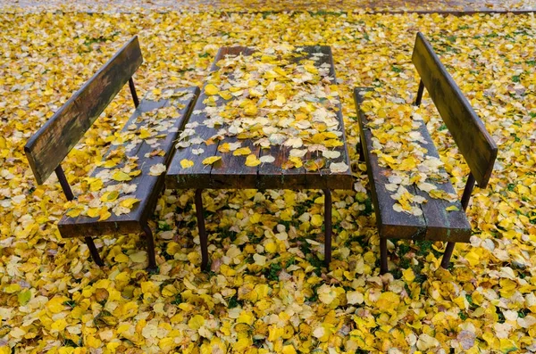 Sokak tezgahları ve bir tablo sarı sonbahar yaprakları ile kaplıdır